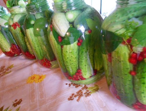 [Наташа Бутова] Запасы на зиму - как сохранить всё_0.png